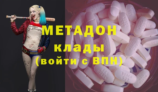 индика Аркадак