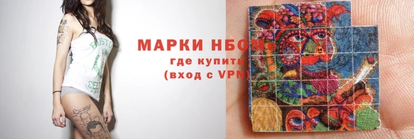 индика Аркадак