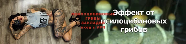 крисы Армянск