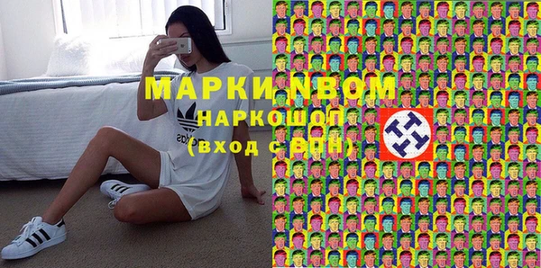 индика Аркадак