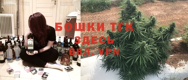эйфоретик Арсеньев