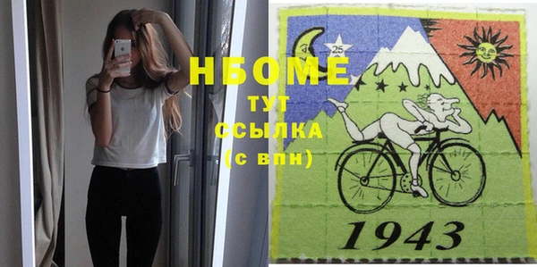 индика Аркадак
