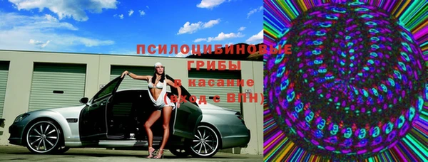индика Аркадак