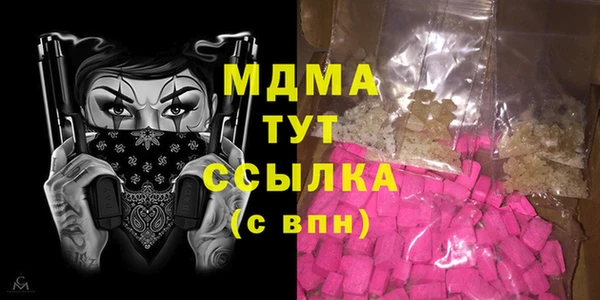 индика Аркадак