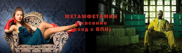индика Аркадак